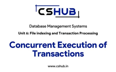 Concurrent Execution of Transactions